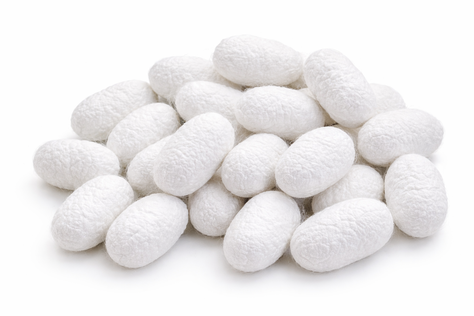 White silk cocoons on a white background